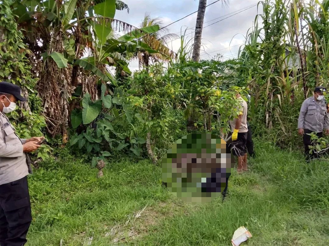Misteri Mayat Terkubur di Darmasaba Badung Mulai Terkuak, Korban Diduga Pemuda Asal NTB Bernama Dean