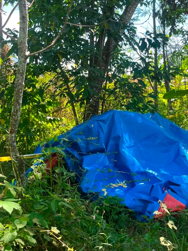 Pria Ditemukan Tewas Tergantung di Kebun Cirendang Kuningan, Polisi Masih Selidiki Penyebab Kematian