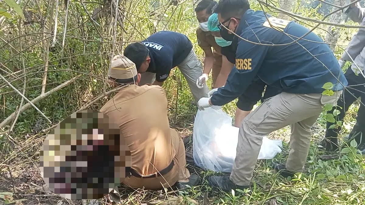 Misteri Kerangka Manusia di Perkebunan Jati Sagaranten Sukabumi, Identitas Korban Masih Jadi Teka-teki