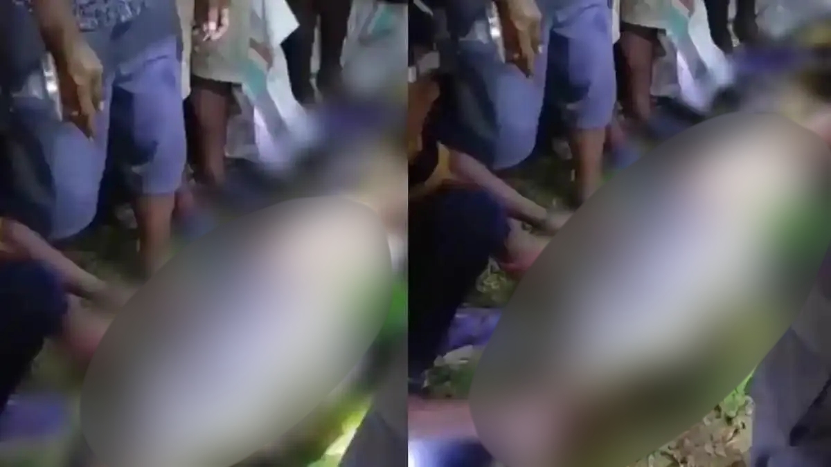 Petani di Kepulauan Sula Tewas Dimangsa Ular Piton 7 Meter